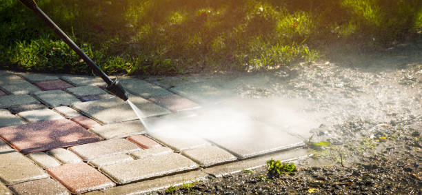 Best Solar Panel Cleaning  in Somerset, TX